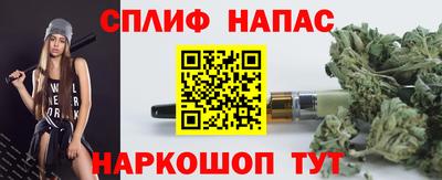 гашик Гай