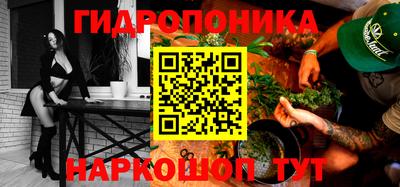 гашик Гай