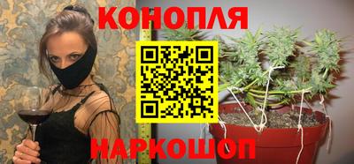 гашик Гай