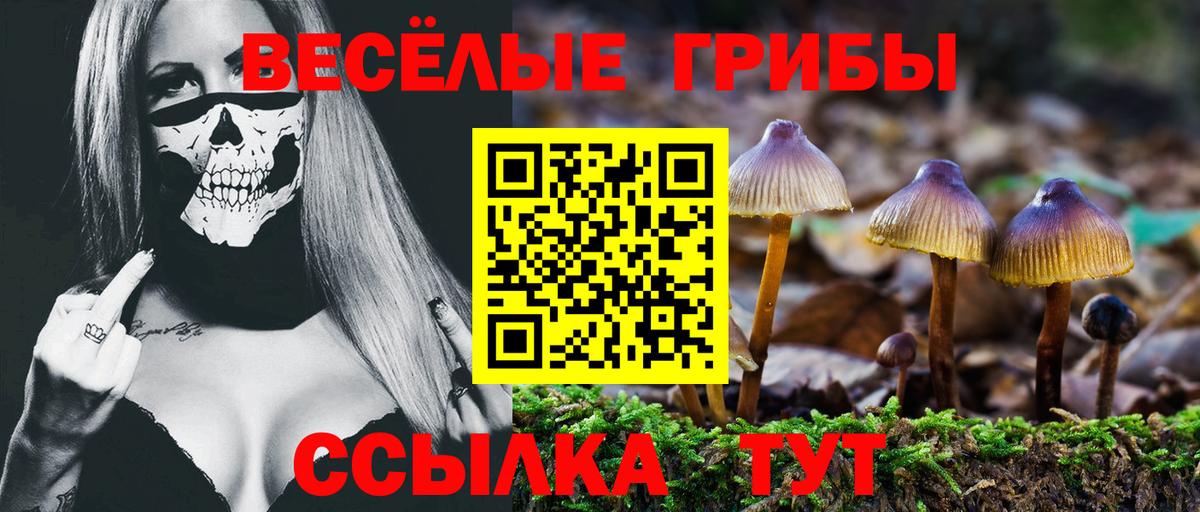 Орёл  Галлюциногенные грибы Cubensis  Галлюциногенные грибы прущие грибы  Вход с VPN 