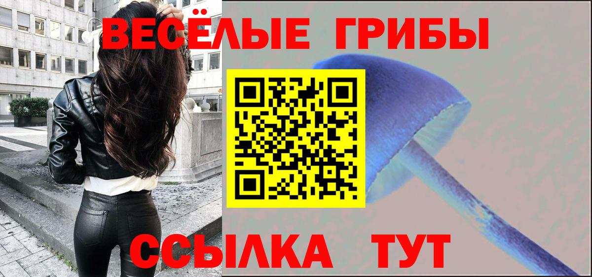Псилоцибиновые грибы прущие грибы Орёл